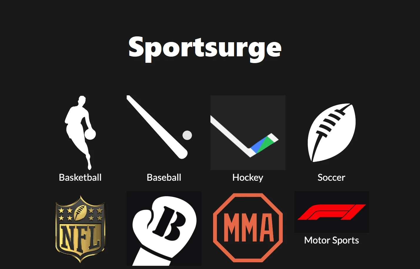 Sportsurge-2024-Review