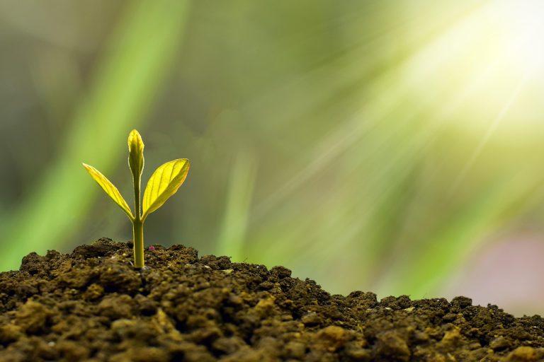 Investment, concept, business — Step-by-Step Guide to Activating Windows 11