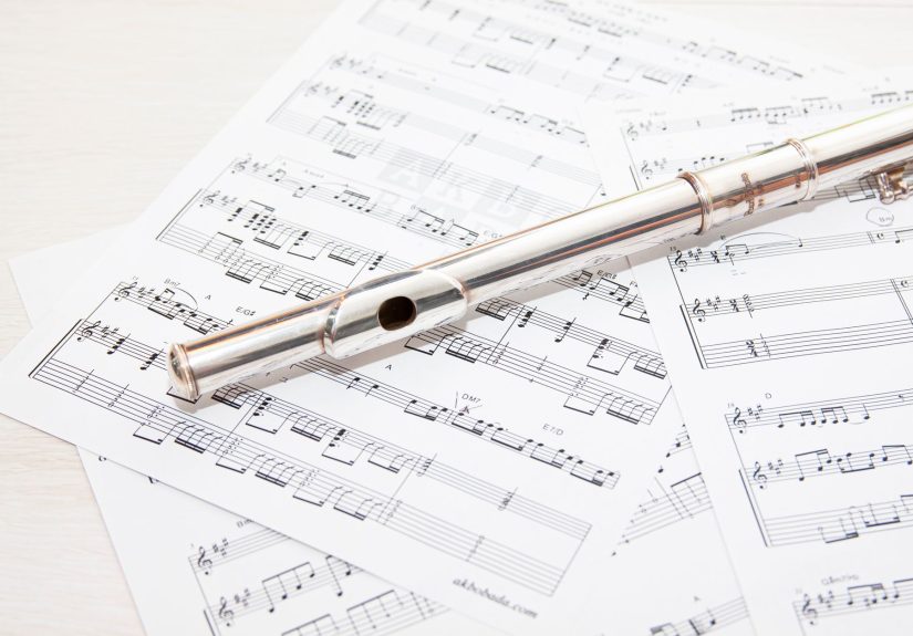 Claude Opus 5.5 launch