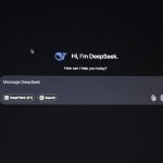 Windows 11 search